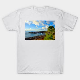 North Shore Study 1 T-Shirt